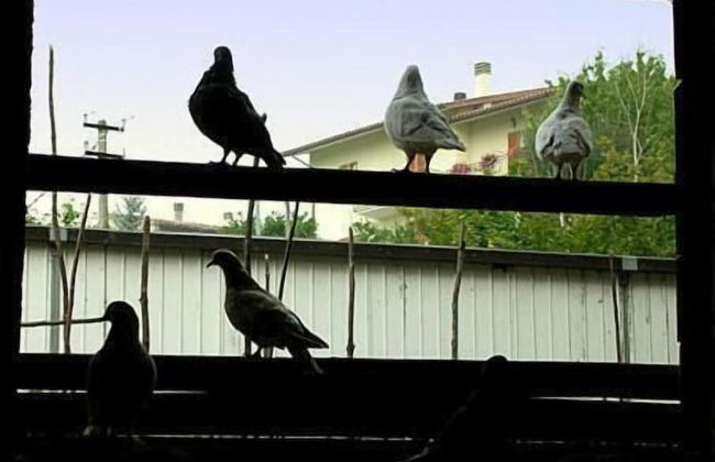 Agriturismo Monti Sibillini Camperato - Photo 11