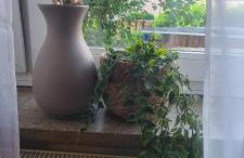 Merci Sweet Home - Foto 18