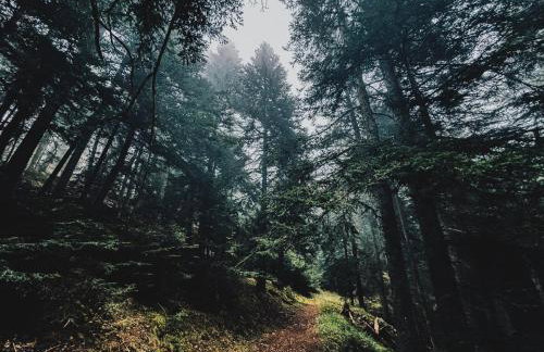 La Cabane de Marie - Foto 30