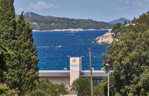 Aspidistra Shadow - Foto 27