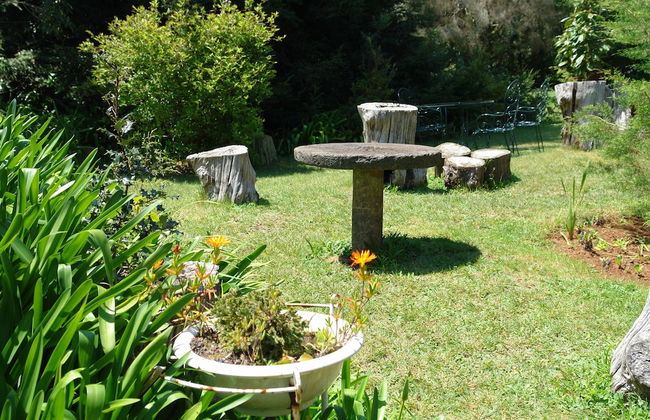 Quinta de Santo António da Serra - Foto 38