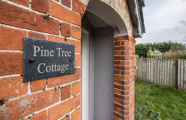 Pine Tree Cottage, Easton - Foto 53