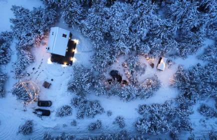 Dziupla House - Foto 28