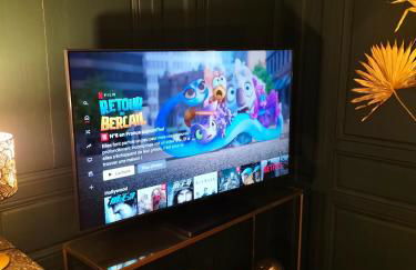 Nancy Vieille Ville Stanislas - Foto 52