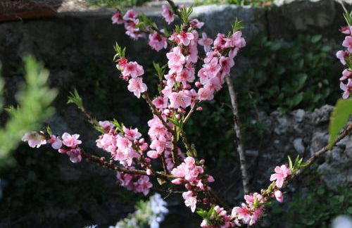 Casa Melina 2 - Foto 26