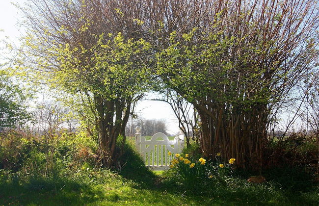 Cottage, Steam - Foto 70