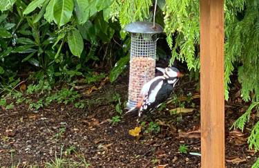 Clashmore House Garden Cottage Dornoch - Foto 28