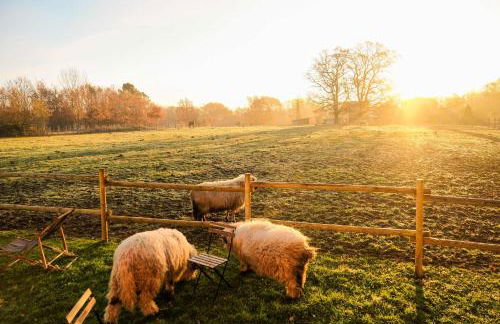 Homnest - Clairiere des Animaux - 1h de Toulouse - Photo 32