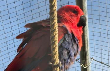 Belle Quercynoise piscine jacuzzi partagés - Foto 56