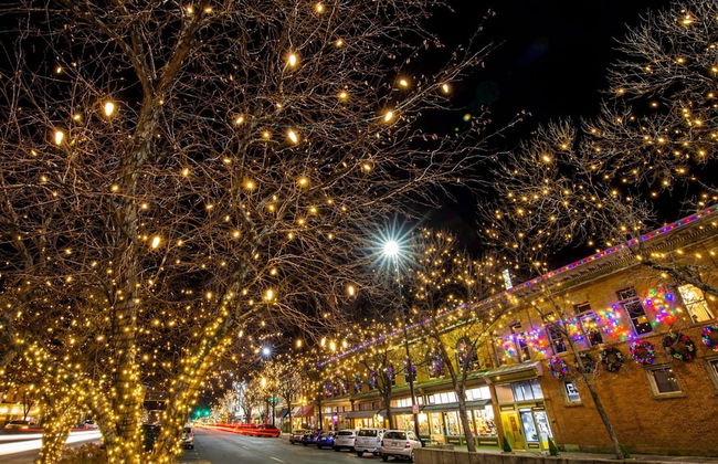 Ultimate Chill Zone | Bbq, Bikes, Pet Friendly!! - Foto 22