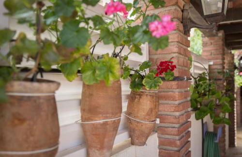 Aldecarles - Foto 23