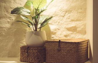 Un Air de Famille - Foto 22