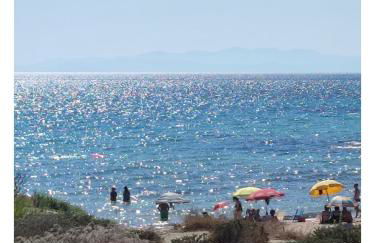 WalMarhouse - Foto 26