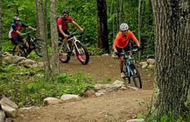 Villa Mirothea - Photo 20