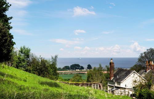 Seashells - Photo 24