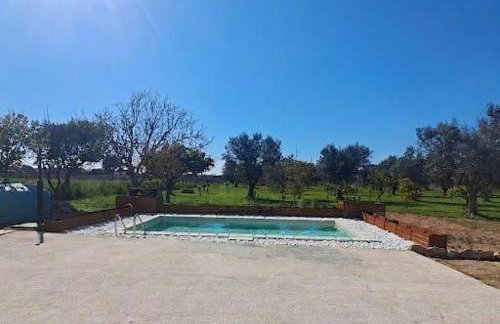 M&M Luxury - Photo 13