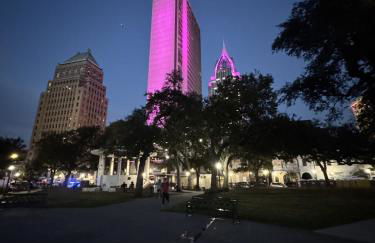 Above All-d'town, parking, gym, cruise, walkable - Foto 16