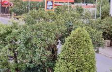 Haus Sissi - Photo 9