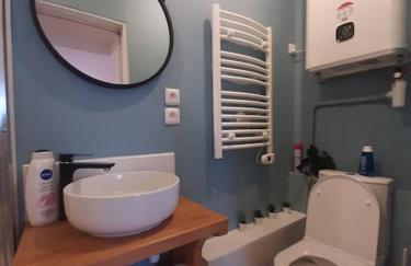 Toulouse centre Compans Caffarelli Superbe Studio - Foto 3