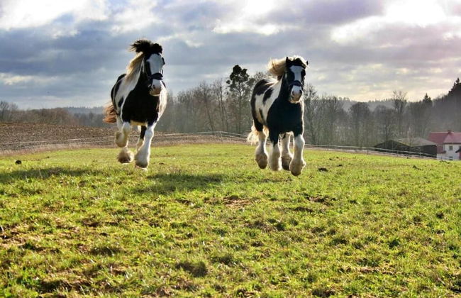 Folwark Mazurskie Legendy - Foto 52