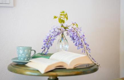 Appartamento La Chicchera - Photo 26