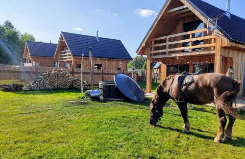 Górskie kaszuby ,Gołubie ,Domek w sielskim klimacie ,niedaleko stoku Koszałkowo na Kaszubach-do 10 osob,sauna ,balia,kominek,opcja kuligu - Foto 9