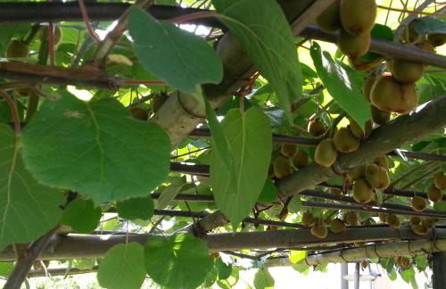 Villa Celeste - Foto 70