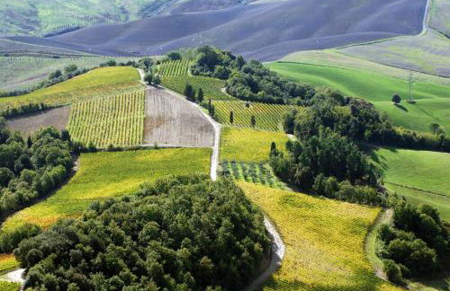 Fattoria Fibbiano - Foto 87