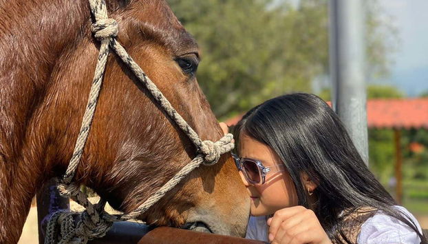 Criadero Lusitania Stable Private Trip - Photo 2, Say hello to the horses!
