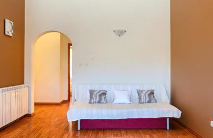 Beautiful Villa Parenzana with pool in Vizinada - Foto 19