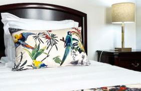 Sitio Terra do Loureiro - Foto 14