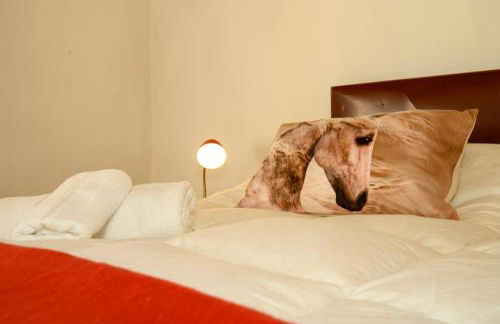 FREE PARKING Countryhouse The Horses -30 min of Siena - Tuscany - Photo 2