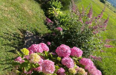 Holiday Home Božica - Photo 46