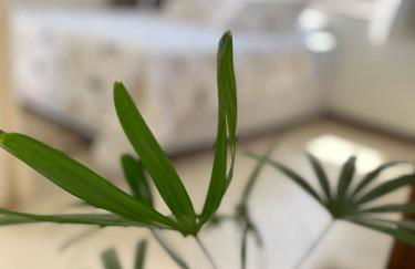 Loft Joao Fernandes Búzios - Foto 13