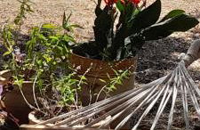 Masseria Ai Pioppi - Foto 41