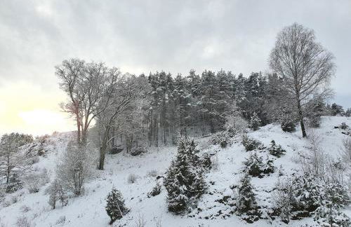 Haus Goldfuß - Foto 23