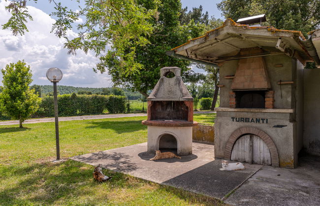 Marinpietri - Foto 57