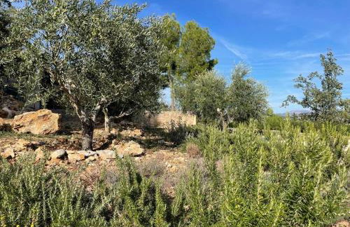 Charmante maison de vacances Sud France - Foto 23