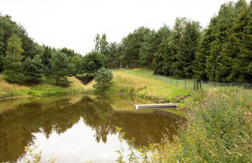 Żywiołowo - domki w stylu stodoły z placem zabaw i stawem - OGIEŃ - Foto 13