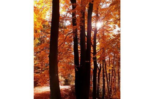 Ferieheisel - Everything, Except Usually! - Foto 65