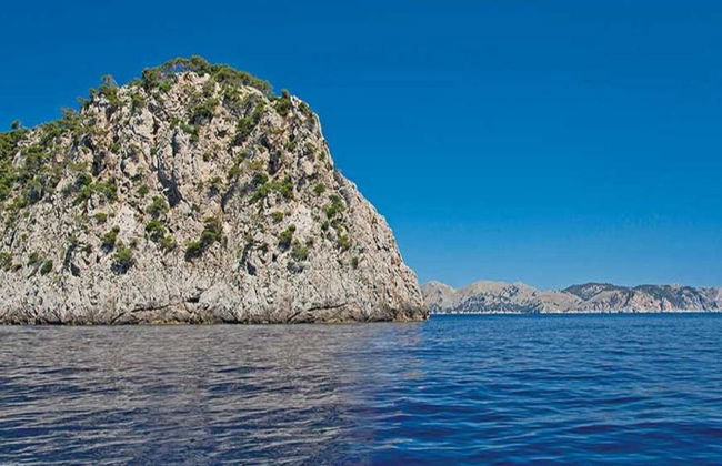 Visite a Praia de Formentor de Catamarã com Fundo de Vidro - Foto 3