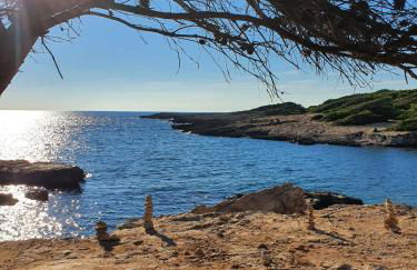 Corte Regina - Foto 28