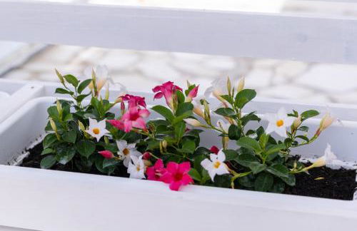 Villa Pasitea fronte mare - Foto 52