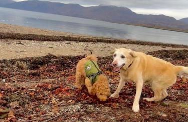 Lagnaha Cottage - Foto 39