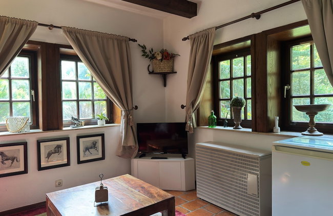Ferienhaus in Kirchdorf mit Reiterhof - Foto 4