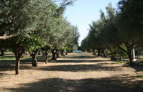 Nafpaktos cottage by the sea for travelers and dreamers! - Foto 78