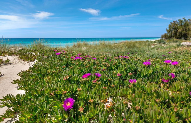 3773 Casa Ninù by Barbarhouse - Photo 26