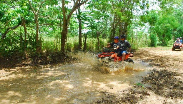 Boca Chica Sugar Cane Fields Quad Tour - Foto 4