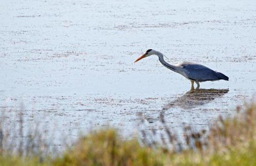 Une Maison de Campagne Atypique au Bord de L'eau - Foto 46