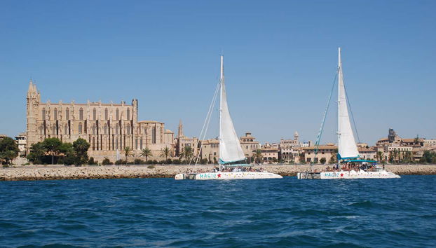 Paseo en catamarán por la bahía de Palma - Foto 4